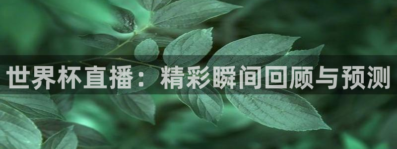 世界杯直播观看：世界杯直播：精彩瞬间回顾与预测