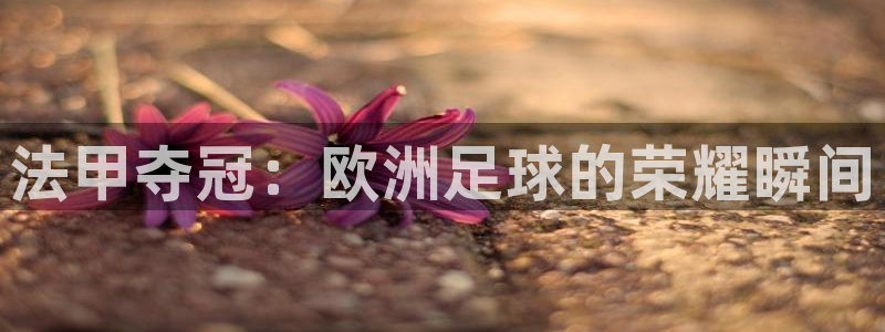 2026世界杯官网入口：法甲夺冠：欧洲足球的荣耀瞬间