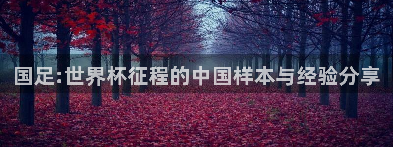 2026世预赛全部赛程：国足:世界杯征程的中国样本与经验分享