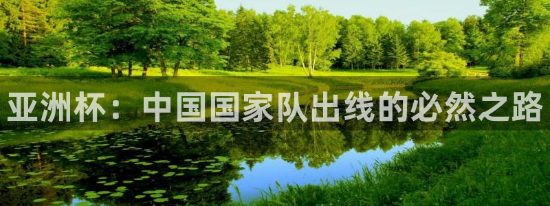足球杯：亚洲杯：中国国家队出线的必然之路