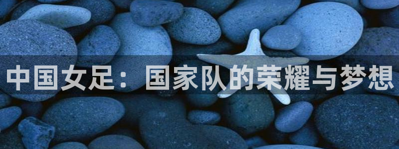 26世界杯：中国女足：国家队的荣耀与梦想
