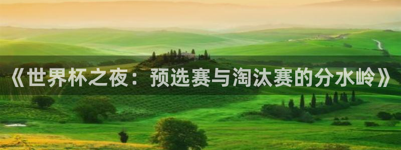 世界杯直播在线观看入口：《世界杯之夜：预选赛与淘汰赛的分水岭》