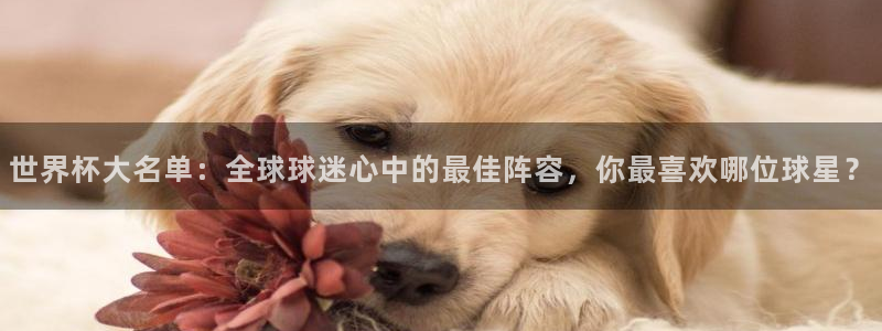 世界杯预选赛2026：世界杯大名单：全球球迷心中的最佳阵容，你最喜欢哪位球星？