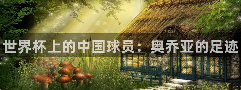2026世界杯直播：世界杯上的中国球员：奥乔亚的足迹