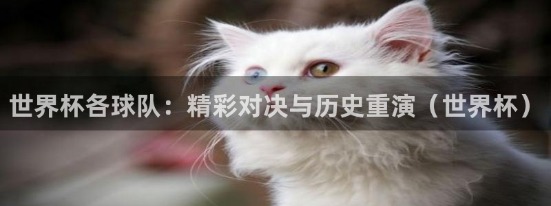 世界杯直播平台：世界杯各球队：精彩对决与历史重演（世界杯）