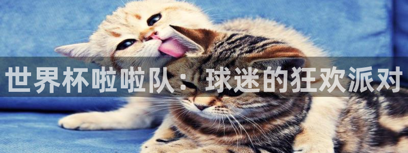 欧洲世界杯预选赛:世界杯啦啦队:球迷的狂欢派对