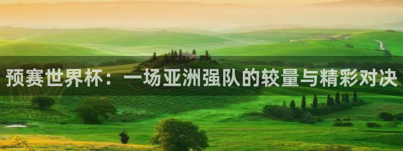 世界杯预选赛2026：预赛世界杯：一场亚洲强队的较量与精彩对决