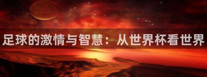 世界杯48支球队赛制：足球的激情与智慧：从世界杯看世界