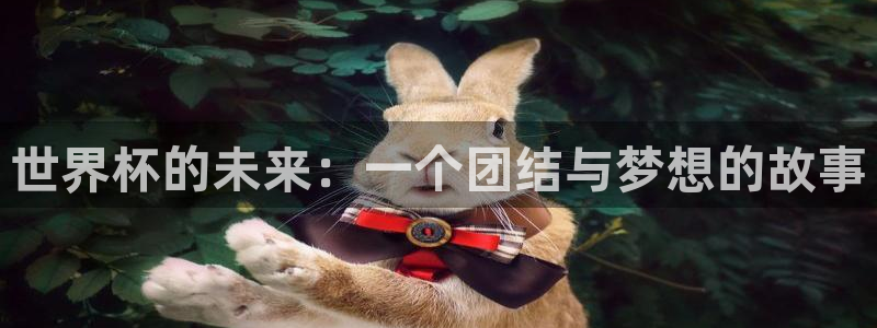世界杯足球比赛：世界杯的未来：一个团结与梦想的故事