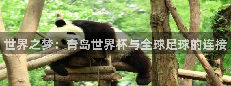 世界杯预选赛排名：世界之梦：青岛世界杯与全球足球的连接