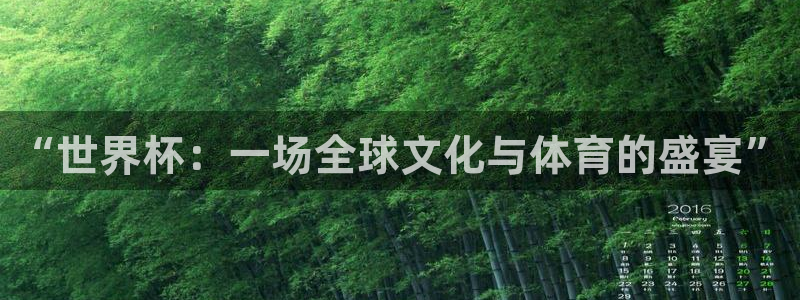 世界杯欧洲区赛程：“世界杯：一场全球文化与体育的盛宴”